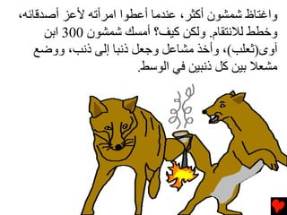 ‫واﻏﺘﺎظ ﺷﻤﺸﻮن أآﺜﺮ، ﻋﻨﺪﻡﺎ أﻋﻄﻮا اﻡﺮأﺕﻪ ﻷﻋﺰ أﺻﺪﻗﺎﺉﻪ،‬
      ‫وﺥﻄﻂ ﻟﻼﻧﺘﻘﺎم. وﻟﻜﻦ آﻴﻒ؟ أﻡﺴﻚ ﺷﻤﺸﻮن 003 اﺏﻦ‬
    ‫ﺁوى)ﺛﻌﻠﺐ(، وأﺥﺬ ﻡﺸﺎﻋﻞ وﺟﻌﻞ ذﻧﺒﺎ إﻟﻰ ذﻧﺐ، ووﺽﻊ‬
                        ‫ﻡﺸﻌﻼ ﺏﻴﻦ آﻞ ذﻧﺒﻴﻦ ﻓﻲ اﻟﻮﺱﻂ.‬
 