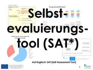 Co-funded by the Intelligent 
Energy Europe Programme of 
Auf Englisch: SAT (Self Assessment Tool) 
the European Union 1 
 
