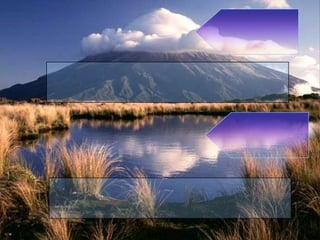 أعمال تنجي من النيران بإذن الله - كيف أنجو من النار؟