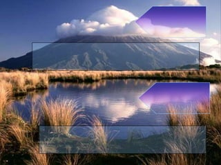 أعمال تنجي من النيران بإذن الله - كيف أنجو من النار؟