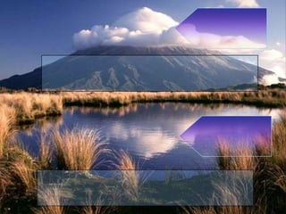 أعمال تنجي من النيران بإذن الله - كيف أنجو من النار؟