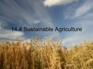14.4 Sustainable Agriculture 