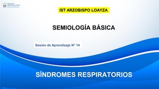 IST ARZOBISPO LOAYZA
SÍNDROMES RESPIRATORIOS
SEMIOLOGÍA BÁSICA
Sesión de Aprendizaje N° 14
 