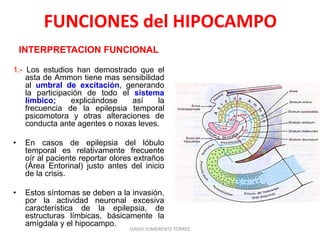 FUNCIONES del HIPOCAMPO
INTERPRETACION FUNCIONAL
1.- Los estudios han demostrado que el
asta de Ammon tiene mas sensibilidad
al umbral de excitación, generando
la participación de todo el sistema
límbico; explicándose así la
frecuencia de la epilepsia temporal
psicomotora y otras alteraciones de
conducta ante agentes o noxas leves.
• En casos de epilepsia del lóbulo
temporal es relativamente frecuente
oír al paciente reportar olores extraños
(Área Entorinal) justo antes del inicio
de la crisis.
• Estos síntomas se deben a la invasión,
por la actividad neuronal excesiva
característica de la epilepsia, de
estructuras límbicas, básicamente la
amígdala y el hipocampo.
DAVID SUMERENTE TORRES
 