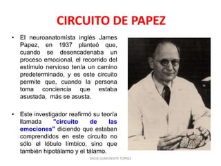 CIRCUITO DE PAPEZ
• El neuroanatomísta inglés James
Papez, en 1937 planteó que,
cuando se desencadenaba un
proceso emocional, el recorrido del
estímulo nervioso tenía un camino
predeterminado, y es este circuito
permite que, cuando la persona
toma conciencia que estaba
asustada, más se asusta.
• Este investigador reafirmó su teoría
llamada "circuito de las
emociones" diciendo que estaban
comprendidos en este circuito no
sólo el lóbulo límbico, sino que
también hipotálamo y el tálamo.
DAVID SUMERENTE TORRES
 
