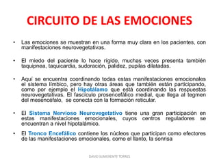 CIRCUITO DE LAS EMOCIONES
• Las emociones se muestran en una forma muy clara en los pacientes, con
manifestaciones neurovegetativas.
• El miedo del paciente lo hace rígido, muchas veces presenta también
taquipnea, taquicardia, sudoración, palidez, pupilas dilatadas.
• Aquí se encuentra coordinando todas estas manifestaciones emocionales
el sistema límbico, pero hay otras áreas que también están participando,
como por ejemplo el Hipotálamo que está coordinando las respuestas
neurovegetativas. El fascículo prosencefálico medial, que llega al tegmen
del mesencéfalo, se conecta con la formación reticular.
• El Sistema Nervioso Neurovegetativo tiene una gran participación en
estas manifestaciones emocionales, cuyos centros reguladores se
encuentran a nivel hipotalámico.
• El Tronco Encefálico contiene los núcleos que participan como efectores
de las manifestaciones emocionales, como el llanto, la sonrisa
DAVID SUMERENTE TORRES
 