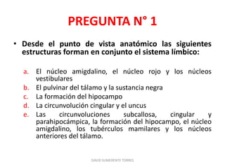 PREGUNTA N° 1
• Desde el punto de vista anatómico las siguientes
estructuras forman en conjunto el sistema límbico:
a. El núcleo amigdalino, el núcleo rojo y los núcleos
vestibulares
b. El pulvinar del tálamo y la sustancia negra
c. La formación del hipocampo
d. La circunvolución cingular y el uncus
e. Las circunvoluciones subcallosa, cingular y
parahipocámpica, la formación del hipocampo, el núcleo
amigdalino, los tubérculos mamilares y los núcleos
anteriores del tálamo.
DAVID SUMERENTE TORRES
 