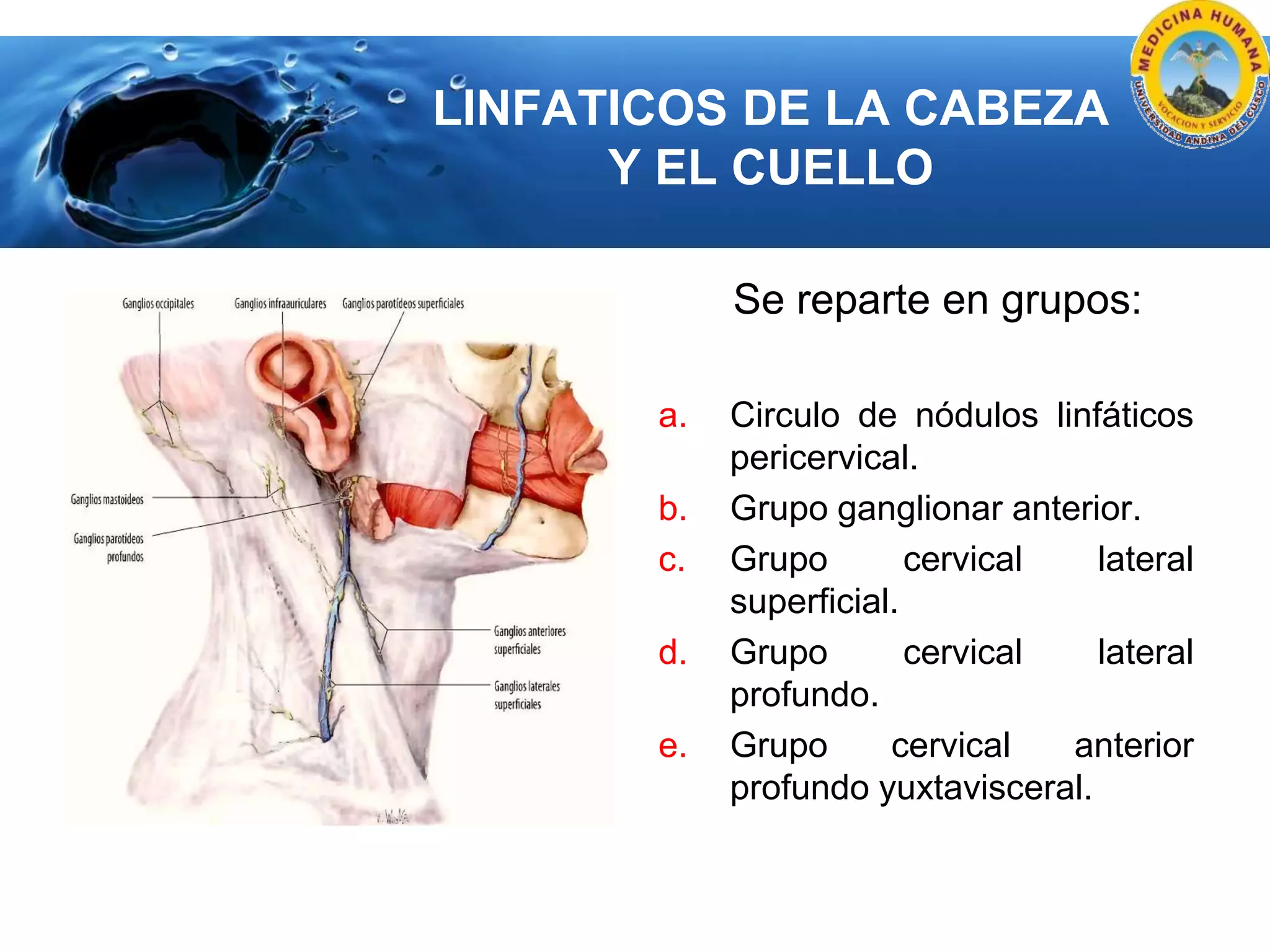 Sistema Linfático del Cabeza y Cuello | PPTX