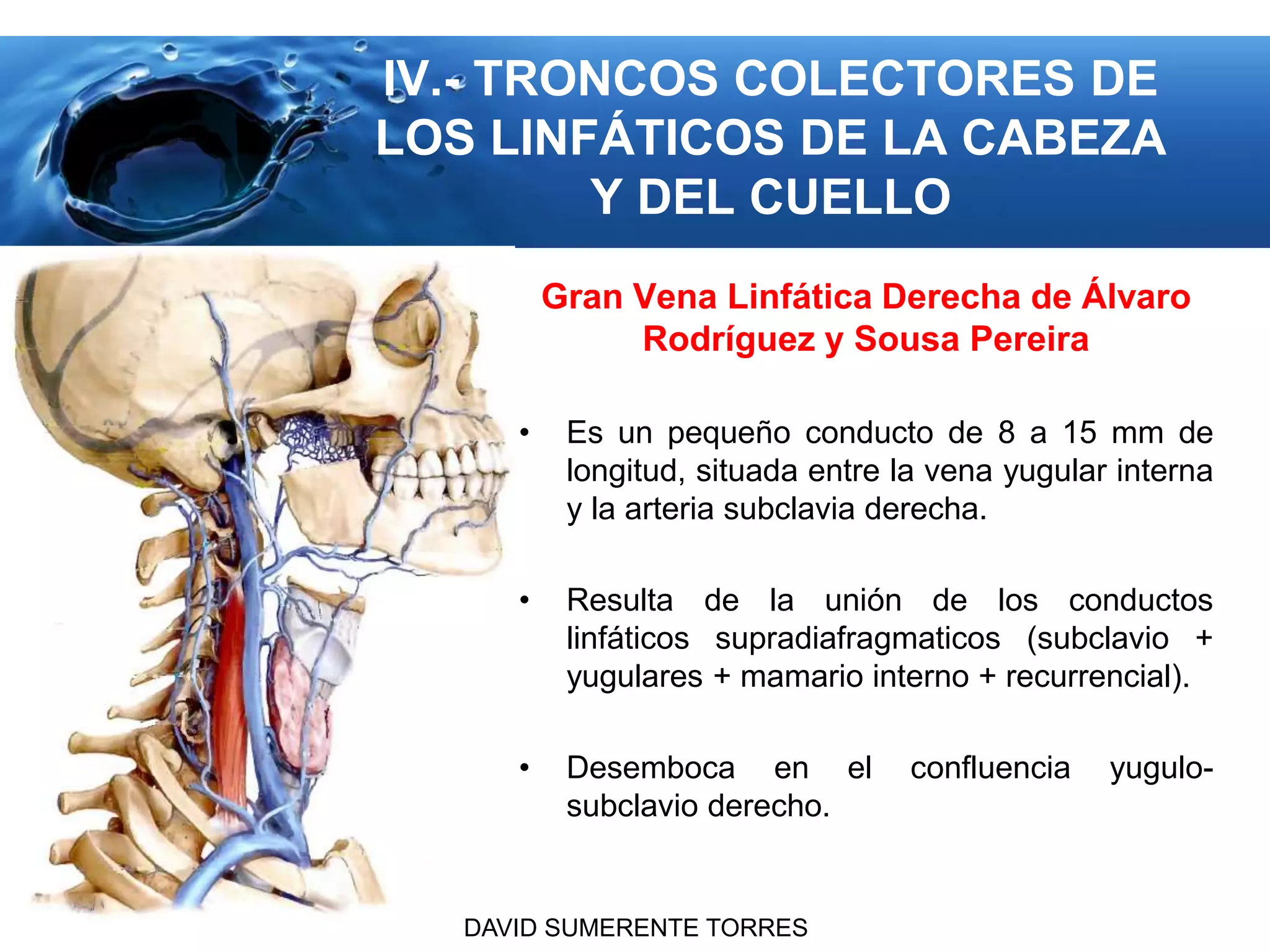 Sistema Linfático del Cabeza y Cuello | PPTX