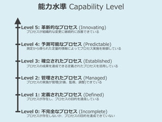 能力水準 Capability Level
Level 0: 不完全なプロセス (Incomplete)
プロセスが存在しないか、プロセスの目的を達成できていない
Level 1: 定義されたプロセス (Defined)
プロセスが存在し、プロセスの目的を達成している
Level 2: 管理されたプロセス (Managed)
プロセスの実施が管理(計画、監視、調整)できている
Level 3: 確立されたプロセス (Established)
プロセスの成果を達成できる定義されたプロセスを活用している
Level 4: 予測可能なプロセス (Predictable)
測定から得られた定量的情報によってプロセス実施を制御している
Level 5: 革新的なプロセス (Innovating)
プロセスが組織的な変更に継続的に改善できている
 