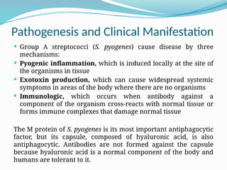 Pathogenesis and Clinical Manifestation
 Group A streptococci (S. pyogenes) cause disease by three
mechanisms:
 Pyogenic inflammation, which is induced locally at the site of
the organisms in tissue
 Exotoxin production, which can cause widespread systemic
symptoms in areas of the body where there are no organisms
 Immunologic, which occurs when antibody against a
component of the organism cross-reacts with normal tissue or
forms immune complexes that damage normal tissue
The M protein of S. pyogenes is its most important antiphagocytic
factor, but its capsule, composed of hyaluronic acid, is also
antiphagocytic. Antibodies are not formed against the capsule
because hyaluronic acid is a normal component of the body and
humans are tolerant to it.
 