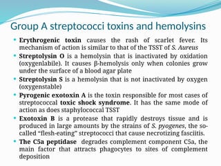 Group A streptococci toxins and hemolysins
 Erythrogenic toxin causes the rash of scarlet fever. Its
mechanism of action is similar to that of the TSST of S. Aureus
 Streptolysin O is a hemolysin that is inactivated by oxidation
(oxygenlabile). It causes β-hemolysis only when colonies grow
under the surface of a blood agar plate
 Streptolysin S is a hemolysin that is not inactivated by oxygen
(oxygenstable)
 Pyrogenic exotoxin A is the toxin responsible for most cases of
streptococcal toxic shock syndrome. It has the same mode of
action as does staphylococcal TSST
 Exotoxin B is a protease that rapidly destroys tissue and is
produced in large amounts by the strains of S. pyogenes, the so-
called “flesh-eating” streptococci that cause necrotizing fasciitis.
 The C5a peptidase degrades complement component C5a, the
main factor that attracts phagocytes to sites of complement
deposition
 