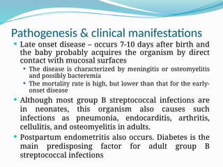 Pathogenesis & clinical manifestations
 Late onset disease – occurs 7-10 days after birth and
the baby probably acquires the organism by direct
contact with mucosal surfaces
 The disease is characterized by meningitis or osteomyelitis
and possibly bacteremia
 The mortality rate is high, but lower than that for the early-
onset disease
 Although most group B streptococcal infections are
in neonates, this organism also causes such
infections as pneumonia, endocarditis, arthritis,
cellulitis, and osteomyelitis in adults.
 Postpartum endometritis also occurs. Diabetes is the
main predisposing factor for adult group B
streptococcal infections
 