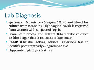 Lab Diagnosis
 Specimens: Include cerebrospinal fluid, and blood for
culture from neonates. High vaginal swab is required
from women with suspected sepsis
 Gram stain smear and culture B-hemolytic colonies
on blood agar that is resistant to bacitracin
 CAMP (Christie, Atkins, Munch, Peterson) test to
identify presumptively S. agalactiae +ve
 Hippurate hydrolysis test +ve
 
