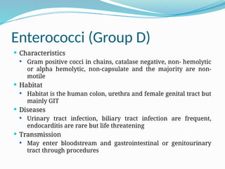 Enterococci (Group D)
 Characteristics
 Gram positive cocci in chains, catalase negative, non- hemolytic
or alpha hemolytic, non-capsulate and the majority are non-
motile
 Habitat
 Habitat is the human colon, urethra and female genital tract but
mainly GIT
 Diseases
 Urinary tract infection, biliary tract infection are frequent,
endocarditis are rare but life threatening
 Transmission
 May enter bloodstream and gastrointestinal or genitourinary
tract through procedures
 