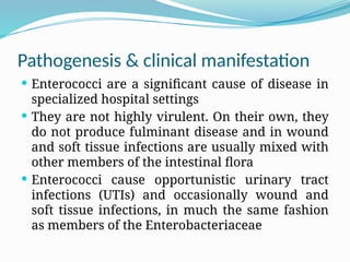 Pathogenesis & clinical manifestation
 Enterococci are a significant cause of disease in
specialized hospital settings
 They are not highly virulent. On their own, they
do not produce fulminant disease and in wound
and soft tissue infections are usually mixed with
other members of the intestinal flora
 Enterococci cause opportunistic urinary tract
infections (UTIs) and occasionally wound and
soft tissue infections, in much the same fashion
as members of the Enterobacteriaceae
 