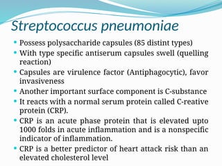 Streptococcus pneumoniae
 Possess polysaccharide capsules (85 distint types)
 With type specific antiserum capsules swell (quelling
reaction)
 Capsules are virulence factor (Antiphagocytic), favor
invasiveness
 Another important surface component is C-substance
 It reacts with a normal serum protein called C-reative
protein (CRP).
 CRP is an acute phase protein that is elevated upto
1000 folds in acute inflammation and is a nonspecific
indicator of inflammation.
 CRP is a better predictor of heart attack risk than an
elevated cholesterol level
 