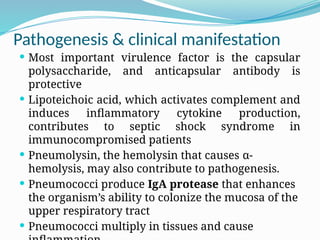 Pathogenesis & clinical manifestation
 Most important virulence factor is the capsular
polysaccharide, and anticapsular antibody is
protective
 Lipoteichoic acid, which activates complement and
induces inflammatory cytokine production,
contributes to septic shock syndrome in
immunocompromised patients
 Pneumolysin, the hemolysin that causes α-
hemolysis, may also contribute to pathogenesis.
 Pneumococci produce IgA protease that enhances
the organism’s ability to colonize the mucosa of the
upper respiratory tract
 Pneumococci multiply in tissues and cause
 