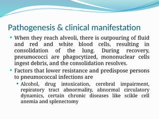 Pathogenesis & clinical manifestation
 When they reach alveoli, there is outpouring of fluid
and red and white blood cells, resulting in
consolidation of the lung. During recovery,
pneumococci are phagocytized, mononuclear cells
ingest debris, and the consolidation resolves.
 Factors that lower resistance and predispose persons
to pneumococcal infections are
 Alcohol, drug intoxication, cerebral impairment,
repiratory tract abnormality, abnormal circulatory
dynamics, certain chronic diseases like scikle cell
anemia and splenectomy
 