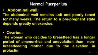Normal Puerperium
• Abdominal wall:
The abdominal wall remains soft and poorly toned
for many weeks. The return to a pre-pregnant state
depends greatly on exercise.
• Ovaries:
The woman who decides to breastfeed has a longer
period of amenorrhea and anovulation than non-
breastfeeding mother due to the elevation in
prolactin. 11
 