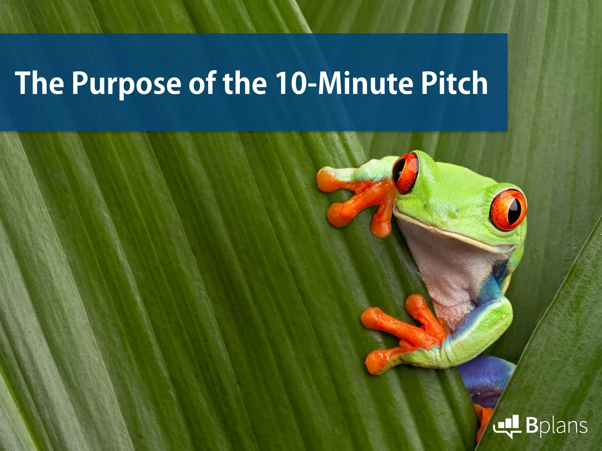 The Purpose of the 10-Minute Pitch
 