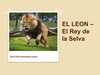 EL LEON –
El Rey de
la Selva
Elena Pilar Hernández Loyola
 