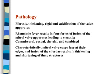 Pathology   Fibrosis, thickening, rigid and calcification of the valve apparatus   Rheumatic fever results in four forms of fusion of the mitral valve apparatus leading to stenosis: Commissural, cuspal, chordal, and combined Characteristically, mitral valve cusps fuse at their edges, and fusion of the chordae results in thickening and shortening of these structures 