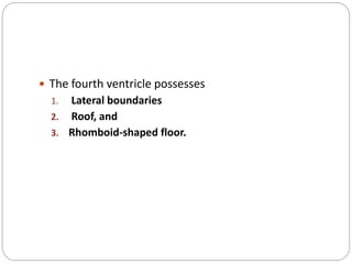  The fourth ventricle possesses
1. Lateral boundaries
2. Roof, and
3. Rhomboid-shaped floor.
 