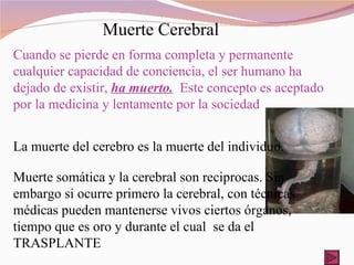 Muerte Cerebral Cuando se pierde en forma completa y permanente cualquier capacidad de conciencia, el ser humano ha dejado de existir,  ha muerto.   Este concepto es aceptado por la medicina y lentamente por la sociedad La muerte del cerebro es la muerte del individuo.   Muerte somática y la cerebral son reciprocas. Sin embargo si ocurre primero la cerebral, con técnicas médicas pueden mantenerse vivos ciertos órganos, tiempo que es oro y durante el cual  se da el TRASPLANTE 