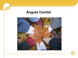 Ángulo Cenital
 