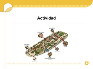 Actividad
 