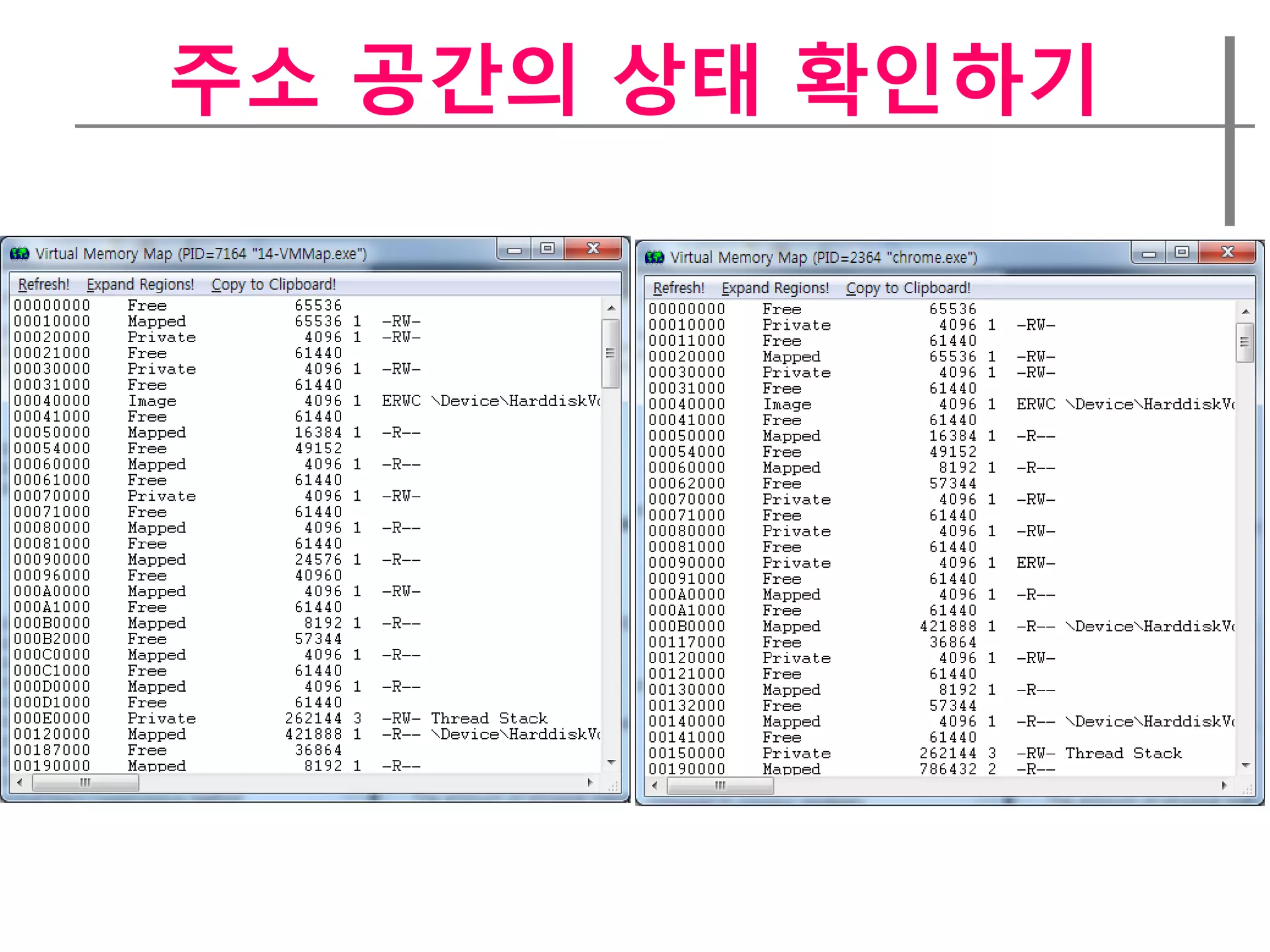 주소 공간의 상태 확인하기
 