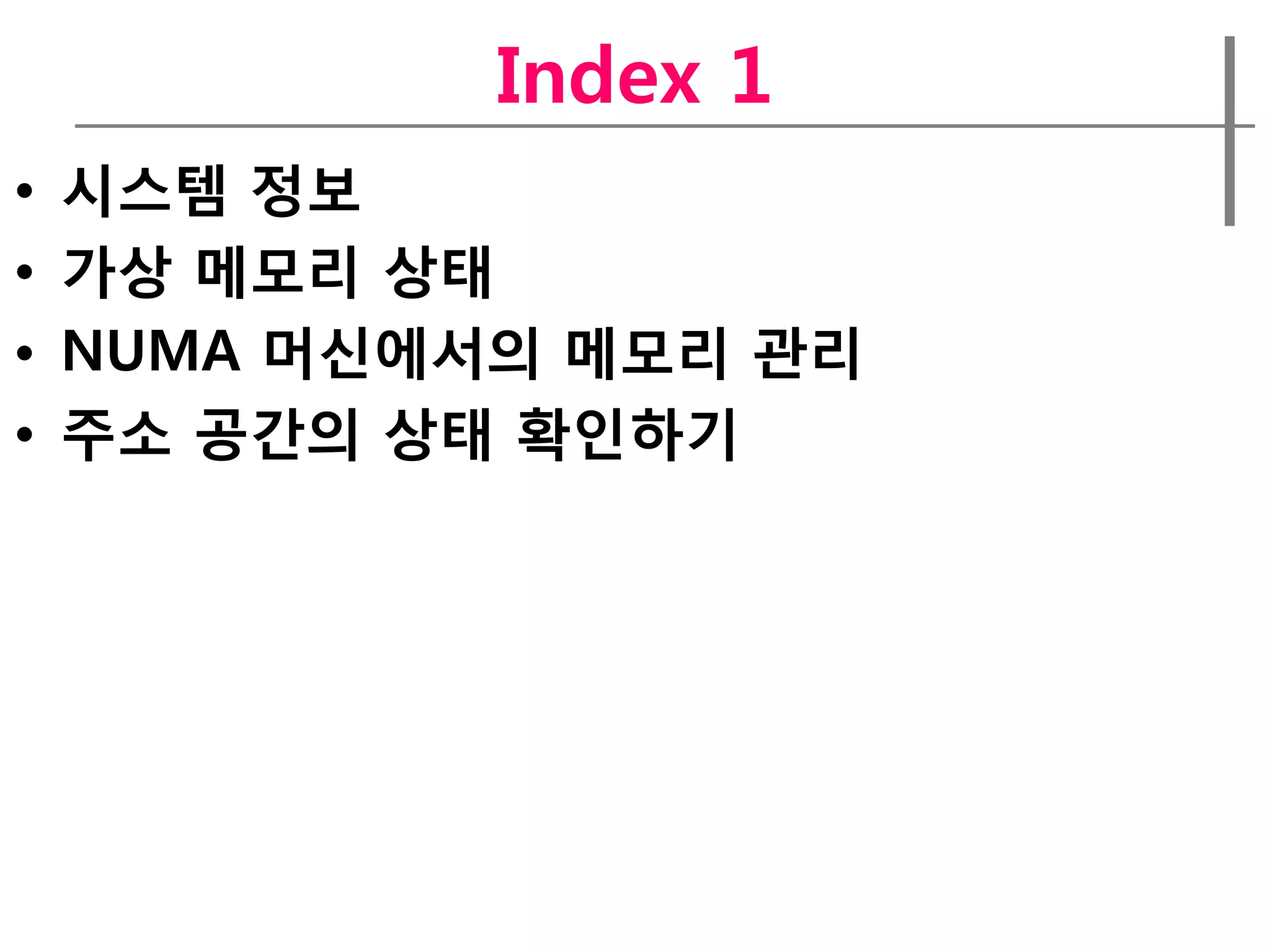 Index 1
•   시스템 정보
•   가상 메모리 상태
•   NUMA 머신에서의 메모리 관리
•   주소 공간의 상태 확인하기
 