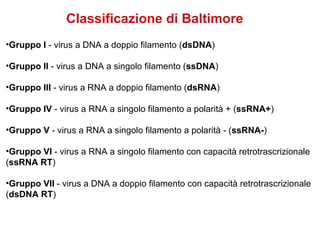 Classificazione di Baltimore
•Gruppo I - virus a DNA a doppio filamento (dsDNA)

•Gruppo II - virus a DNA a singolo filamento (ssDNA)

•Gruppo III - virus a RNA a doppio filamento (dsRNA)

•Gruppo IV - virus a RNA a singolo filamento a polarità + (ssRNA+)

•Gruppo V - virus a RNA a singolo filamento a polarità - (ssRNA-)

•Gruppo VI - virus a RNA a singolo filamento con capacità retrotrascrizionale
(ssRNA RT)

•Gruppo VII - virus a DNA a doppio filamento con capacità retrotrascrizionale
(dsDNA RT)
 