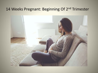 14 Weeks Pregnant: Beginning Of 2nd Trimester
 