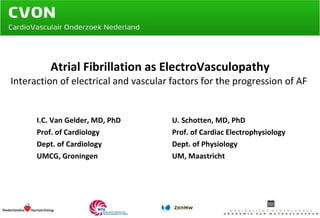 Atrial Fibrillation as ElectroVasculopathy Interaction of electrical and vascular factors for the progression of AF  I.C. Van Gelder, MD, PhD Prof. of Cardiology Dept. of Cardiology UMCG, Groningen U. Schotten, MD, PhD Prof. of Cardiac Electrophysiology Dept. of Physiology UM, Maastricht 