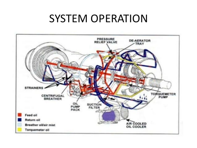 persistent pain model