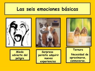 Las seis emociones básicas




                                    Ternura
   Miedo         Sorpresa
advierte del   permite adquirir    Necesidad de
  peligro          nuevas         aproximarse,
                experiencias      conmoverse.
 