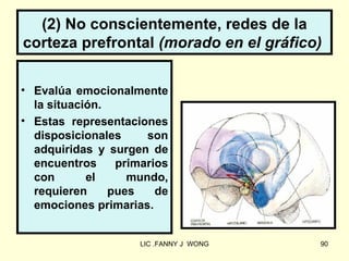 (2) No conscientemente, redes de la
corteza prefrontal (morado en el gráfico)

• Evalúa emocionalmente
  la situación.
• Estas representaciones
  disposicionales     son
  adquiridas y surgen de
  encuentros     primarios
  con       el     mundo,
  requieren     pues    de
  emociones primarias.


                     LIC .FANNY J WONG   90
 