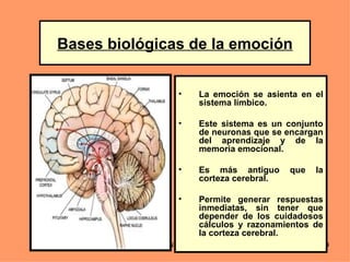 Bases biológicas de la emoción


                   •    La emoción se asienta en el
                        sistema límbico.

                   •    Este sistema es un conjunto
                        de neuronas que se encargan
                        del aprendizaje y de la
                        memoria emocional.

                   •    Es más antiguo      que   la
                        corteza cerebral.

                   •    Permite generar respuestas
                        inmediatas, sin tener que
                        depender de los cuidadosos
                        cálculos y razonamientos de
                        la corteza cerebral.
          LIC .FANNY J WONG                        99
 