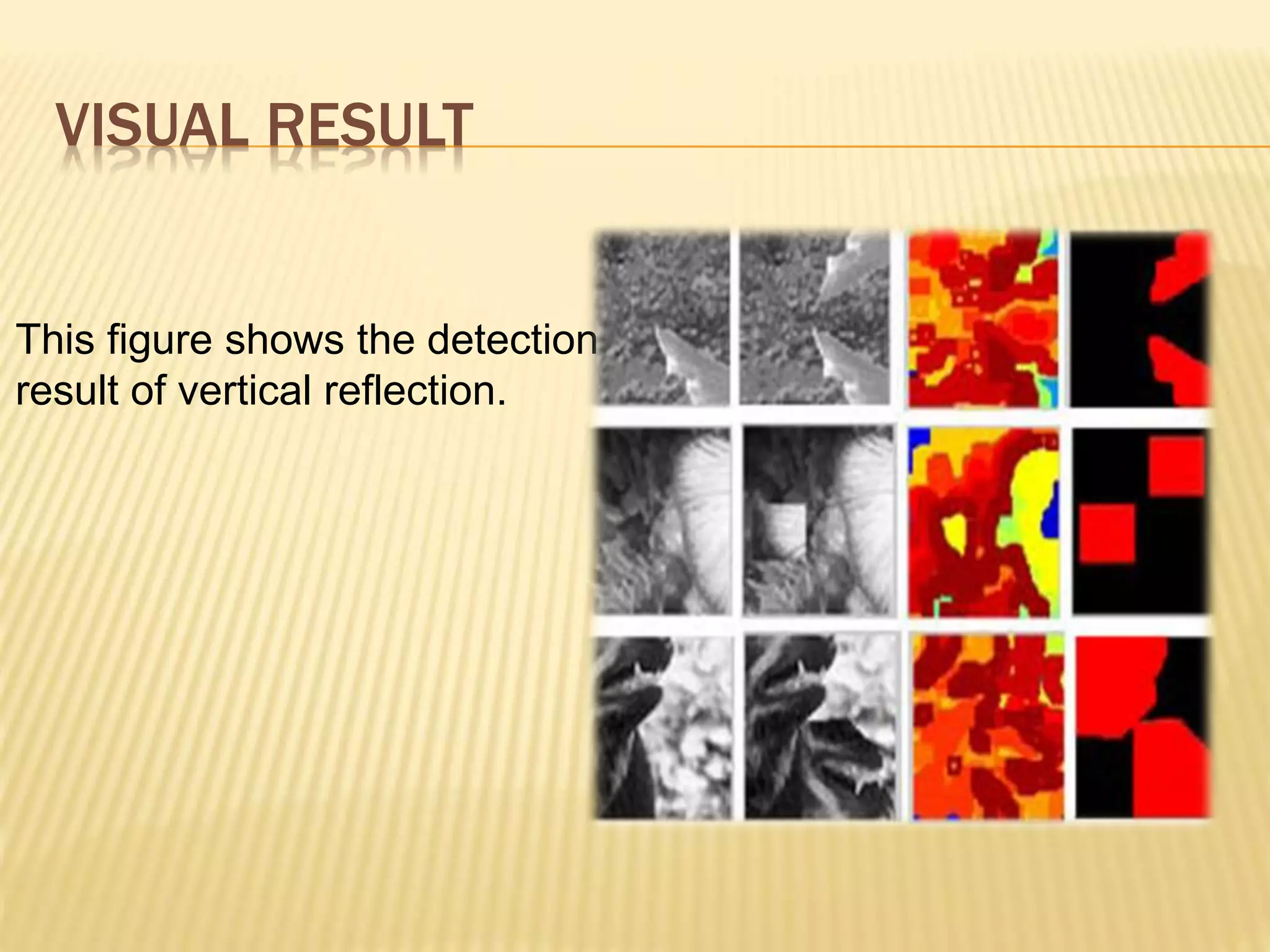 This figure shows the detection
result of vertical reflection.
VISUAL RESULT
 