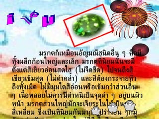 มรกตก็เหมือนอัญมณีชนิดอื่น ๆ คือมีทั้งผลึกก้อนใหญ่และเล็ก มรกตที่นิยมนั้นจะมีตั้งแต่สีเขียวอ่อนสดใส  ( ไม่จืดชืด )  ไปจนถึงสีเขียวเข้มสุด  ( ไม่ดำคล้ำ )  และสีต้องกระจายทั่วถึงทั้งเม็ด ไม่มีมุมใดสีอ่อนหรือเข้มกว่าส่วนอื่น ๆ เนื้อพลอยไม่ควรมีตำหนิเป็นจุดดำ ๆ อยู่บนผิวหน้า มรกตส่วนใหญ่มักจะเจียระไนให้เป็นรูปสี่เหลี่ยม ซึ่งเป็นที่นิยมกันมาก รูปร่างอื่น ๆก็มีด้วยเช่นกัน มรกตส่วนใหญ่ที่มีเนื้อดี จะเจียระไนให้เป็นเหลี่ยมประกายเสมอ  มรกต 