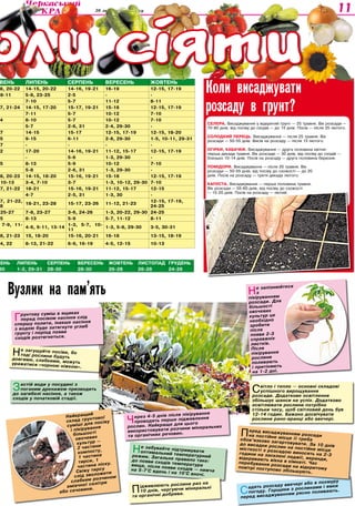 20 лютого 2013 року 11
вень Липень Серпень Вересень Жовтень Листопад Грудень
30 1-2, 29-31 28-30 28-30 26-28 26-28 24-26
Садять розсаду ввечері або в похмуру
погоду. Горщики з рослинами і ямки
перед висаджуванням рясно поливають.
вень Липень Серпень Вересень Жовтень
8, 20-22 14-15, 20-22 14-16, 19-21 16-19 12-15, 17-19
8-11 5-8, 23-25 2-5 - -
7-10 5-7 11-12 8-11
7, 21-24 14-15, 17-20 15-17, 19-21 15-18 12-15, 17-19
7-11 5-7 10-12 7-10
4 8-10 5-7 10-12 7-10
5-7 2-6, 31 2-4, 29-30 -
17 14-15 15-17 12-15, 17-19 12-15, 18-20
15 9-15 6-11 2-8, 29-30 1-5, 10-11, 29-31
17 - - - -
22 17-20 14-16, 19-21 11-12, 15-17 12-15, 17-19
- 5-6 1-3, 29-30 -
15 8-13 5-9 10-12 7-10
5-8 2-6, 31 1-3, 29-30 -
18, 20-23 14-15, 18-20 15-16, 19-21 15-18 12-15, 17-19
10-13 3-4, 7-10 3-7 1-3, 10-12, 29-30 7-10
17, 21-22 18-21 15-16, 19-21 11-12, 15-17 12-15
4-7 2-5, 31 1-3, 30 -
17, 21-22,
28
18-21, 23-28 15-17, 23-26 11-12, 21-23
12-15, 17-19,
24-25
25-27 7-8, 23-27 3-6, 24-26 1-3, 20-22, 29-30 24-25
15 8-13 5-9 5-7, 11-12 8-11
7-9, 11-
4-6, 9-11, 13-14
1-3, 5-7, 10-
11
1-3, 5-8, 29-30 3-5, 30-31
18, 21-23 15, 18-20 15-16, 20-21 16-18 13-15, 18-19
14, 22 8-13, 21-22 6-9, 16-19 4-5, 12-15 10-13
Коли висаджувати
розсаду в грунт?
Селера. Висаджування у відкритий ґрунт — 25 травня. Вік розсади —
70-80 днів, від посіву до сходів — до 15 днів. Посів — після 25 лютого.
Солодкий перець. Висаджування — після 25 травня. Вік
розсади — 50-55 днів. Висів на розсаду — після 15 лютого.
Огірки, кабачки. Висаджування — друга половина квітня-
перша декада травня. Вік розсади — 30 днів, від посіву до сходів —
близько 10-14 днів. Посів на розсаду — друга половина березня.
Помідори. Висаджування — після 20 травня. Вік
розсади — 50-55 днів, від посіву до схожості — до 20
днів. Посів на розсаду — третя декада лютого.
Капуста. Висаджування — перша половина травня.
Вік розсади — 55-60 днів, від посіву до схожості
— 15-20 днів. Посів на розсаду — лютий.
Вузлик на пам’ять
Найкращий
склад грунтової
суміші для посіву
і пікірування
більшості
овочевих
культур —
2 частини
компосту,
1 частина
тирси, 1
частина піску.
Свіжу тирсу
слід зволожити
слабким розчином
аміачної селітри
або сечовини.
Грунтову суміш в ящиках
перед посівом насіння слід
спершу полити, інакше насіння
з водою буде затягнуте углиб
грунту і період появи
сходів розтягнеться.
Не загущуйте посіви, ботоді рослини будутьдовгими, слабкими, можутьуражатися «чорною ніжкою».
Не забувайте підтримуватиоптимальний температурнийрежим. Загальне правило таке:до появи сходів температуравища, після появи сходів — нижчана 5-7°С вдень і на 10°С вночі.
Застій води у посудині з
поганим дренажем призводить
до загибелі насіння, а також
сходів у початковій стадії.
Світло і тепло — основні складові
успішного вирощування
розсади. Додаткове освітлення
збільшує шанси на успіх. Додатково
освітлювати рослини потрібно
стільки часу, щоб світловий день був
12-14 годин. Бажано досвічувати
рослини рано-вранці або ввечері.
Через 4-5 днів після пікірування
проводять перше підживлення
рослин. Найкраще для цього
використовувати розчини мінеральних
та органічних речовин.
Підживлюють рослини раз на
10 днів, чергуючи мінеральні
та органічні добрива.
Перед висаджуванням розсадина постійне місце її требаобов’язково загартовувати. За 10 днівдо висадки рослин на постійне місцемісткості з розсадою виносять на 2-3години на засклені лоджії, веранди,відкривають вікна в кімнаті. Часперебування розсади на відкритомуповітрі поступово збільшують.
Не запізнюйтеся
з
пікіруванням
розсади. Для
більшості
овочевих
культур це
необхідно
зробити
після
появи 2-3
справжніх
листків.
Після
пікірування
рослини
поливають
і притіняють
на 1-2 дні.
оли сіяти
 