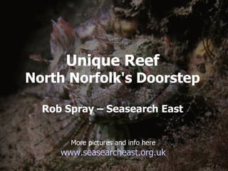 Unique Reef
North Norfolk's Doorstep
Rob Spray – Seasearch East
More pictures and info here
www.seasearcheast.org.uk
 