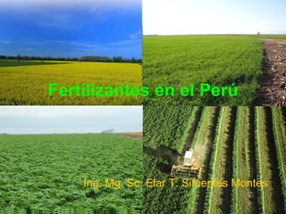 Fertilizantes en el Perú
Ing. Mg. Sc. Elar T. Sifuentes Montes
 