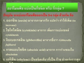 ปัจจุบน จะแบ่งฮอร์โมนพืชออกเป็ น 5-6 กลุ่ม ด้วยกัน คือ
ั
1. ออกซิน (auxin) มาจากภาษากรีก แปลว่า ทําให้เพิ่ม (to
increase)
2. ไซโทไคนิน (cytokinin) มาจาก เพิ่มการแบ่งเซลล์
cytokinesis
3. จิบเบอเรลลิน (gibberellin) มาจากชื่อรา Gibberella
fujikuroi
4. กรดแอบไซซิค (abscisic acid) มาจาก การร่วงของใบ
abscission
5. เอทิลีน (ethylene) เป็ นชนิดเดียวที่เป็ น ก๊าซ ช่วยเร่งการสุก

 