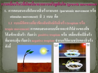 การเคลือนไหวทีเ่ กิดเนื่องจากการเจริญเติบโต (growth movement)
่
1. การตอบสนองทีเ่ กิดจากสิ่ งเร้ าภายนอก (paratonic movement หรือ
stimulus movement) มี 2 แบบ คือ
1.1 แบบมีทศทางเกียวข้ องสั มพันธ์ กบสิ่ งเร้ า (tropism หรือ
ิ
่
ั
tropic movement) การตอบสนองแบบนีอาจจะทําให้ ส่วนของพืช
้
โค้ งเข้ าหาสิ่ งเร้ า เรียกว่ า positive tropism หรือ เคลือนทีหนีสิ่งเร้ า
่ ่
ทีมากระตุ้น เรียกว่ า negative tropism จําแนกได้ ตามชนิดของสิ่ งเร้ า
่
ดังนี้

 