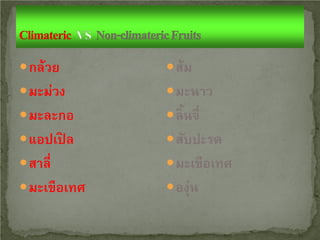  กล้วย

 ส้ม

 มะม่วง

 มะนาว

 มะละกอ

 ลิ้นจี่

 แอปเปิล

 สับปะรด

 สาลี่

 มะเขือเทศ

 มะเขือเทศ

 องุ่น

 