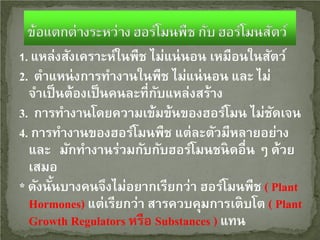 1. แหล่งสังเคราะห์ในพืช ไม่แน่ นอน เหมือนในสัตว์

2. ตําแหน่ งการทํางานในพืช ไม่แน่ นอน และ ไม่
จําเป็ นต้องเป็ นคนละที่กบแหล่งสร้าง
ั
3. การทํางานโดยความเข้มข้นของฮอร์โมน ไม่ชดเจน
ั
4. การทํางานของฮอร์โมนพืช แต่ละตัวมีหลายอย่าง
และ มักทํางานร่วมกับกับฮอร์โมนชนิดอื่น ๆ ด้วย
เสมอ
* ดังนันบางคนจึงไม่อยากเรียกว่า ฮอร์โมนพืช ( Plant
้
Hormones) แต่เรียกว่า สารควบคุมการเติบโต ( Plant
Growth Regulators หรือ Substances ) แทน

 