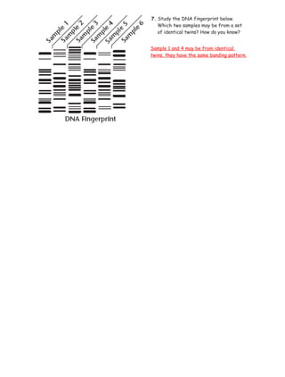 Identical Samples 15.1 3 study guide ans | RTF